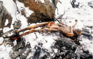 Nineteen Living Descendants of Oetzi the Iceman