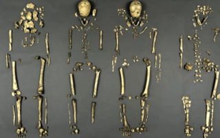 Four Founders of Jamestown Identified sassy jane genealogy