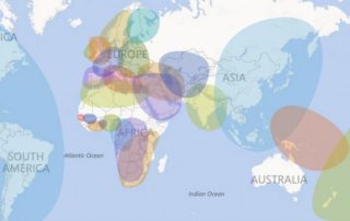 Choosing the Best DNA Tests for Genealogy