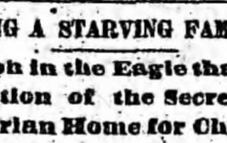 newspaper serendipity in 1884 Brooklyn