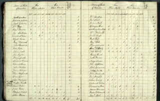 1810 Massachusetts census records discovery